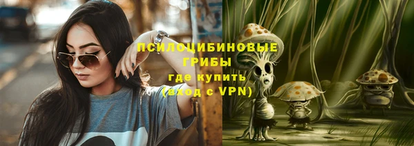 сатива Алексин