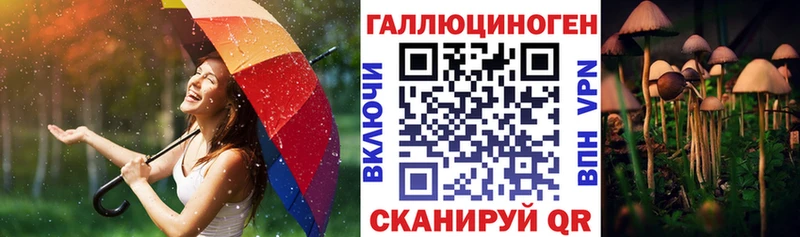 Галлюциногенные грибы прущие грибы  хочу   Юхнов 